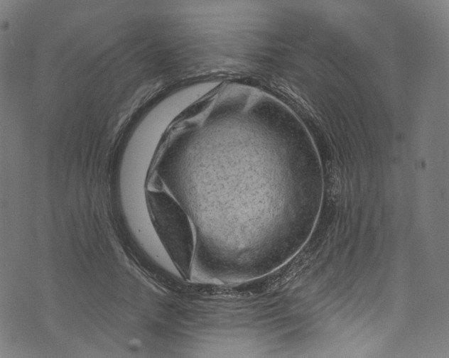 X0000073730738200608171228