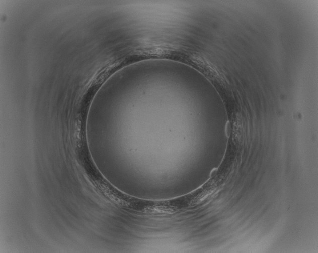 X0000073730739200608171228