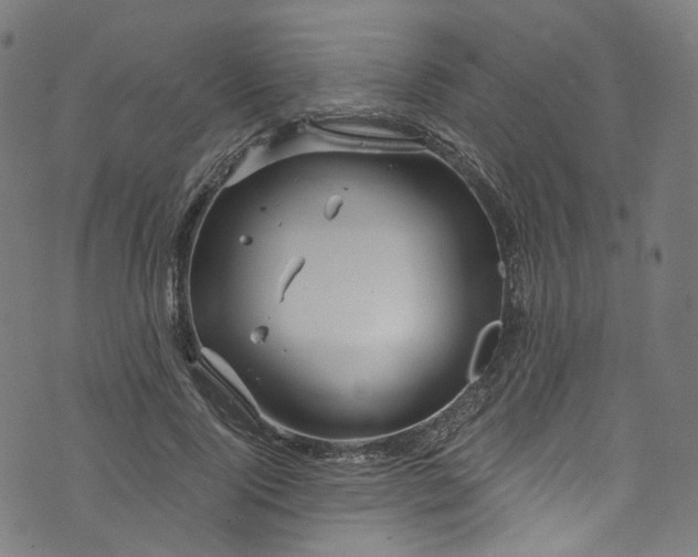 X0000073730740200608171228