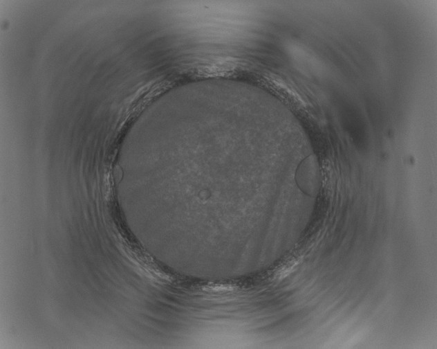 X0000073730741200608171228