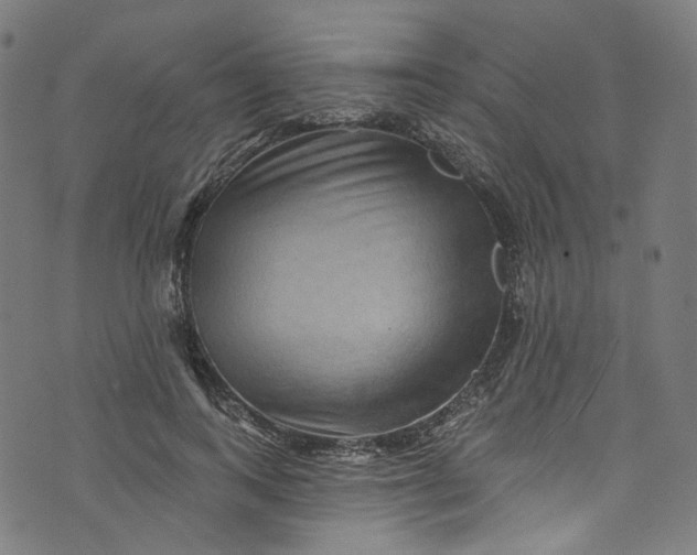 X0000073730743200608171228