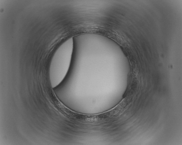 X0000073730744200608171228