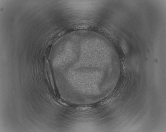 X0000073730745200608171228