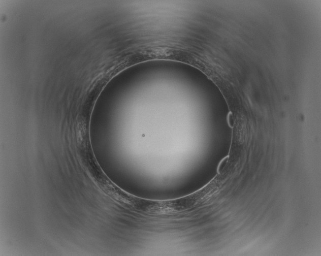 X0000073730747200608171228