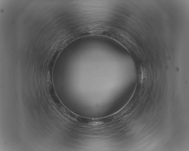 X0000073730748200608171228