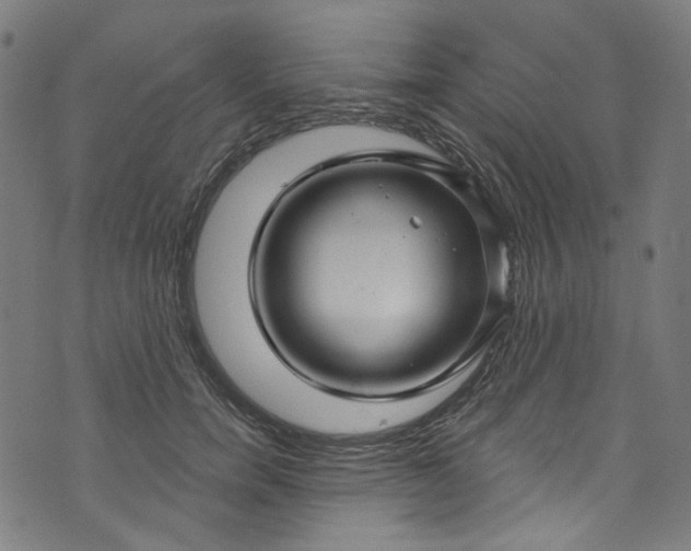 X0000073730750200608171228