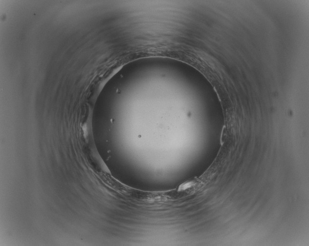 X0000073730752200608171228