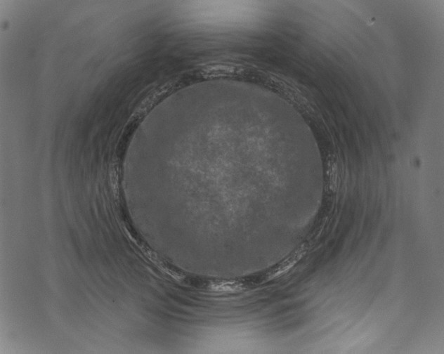 X0000073730753200608171228