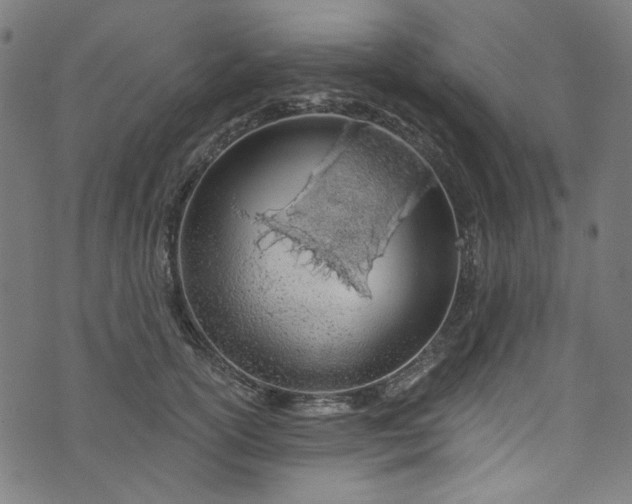 X0000073730754200608171228