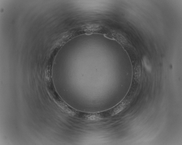 X0000073730755200608171228