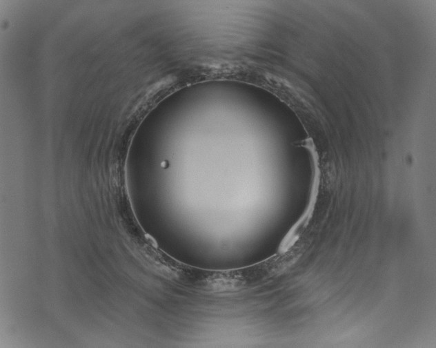 X0000073730756200608171228