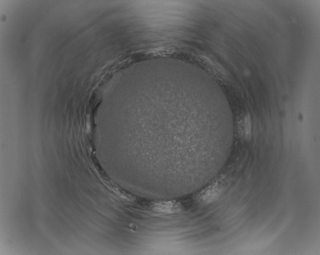 X0000073730757200608171228