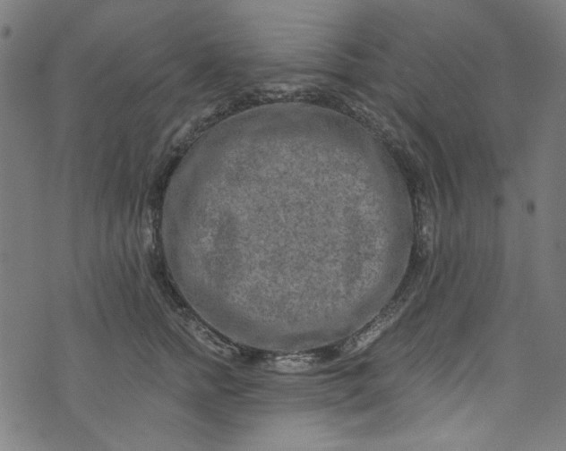 X0000073730758200608171228