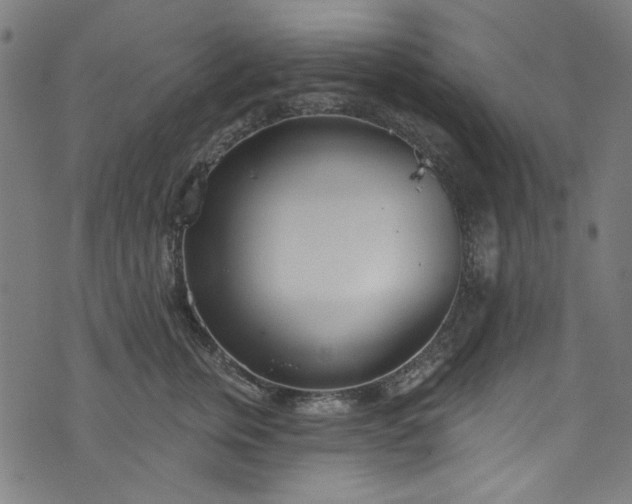 X0000073730759200608171228