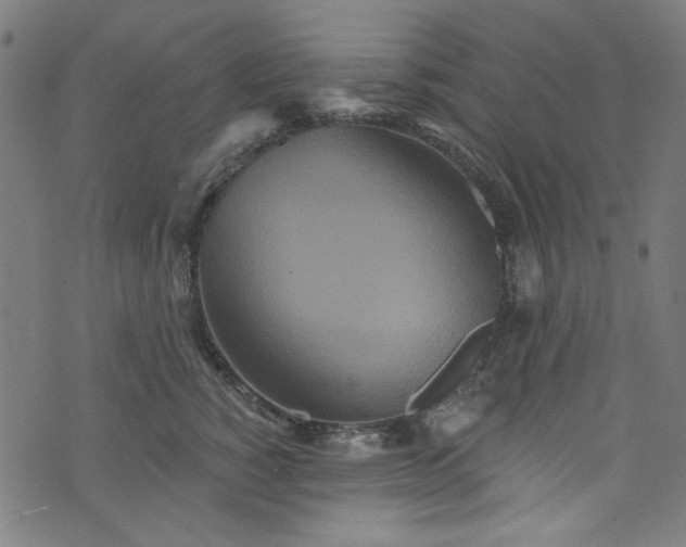 X0000073730760200608171228