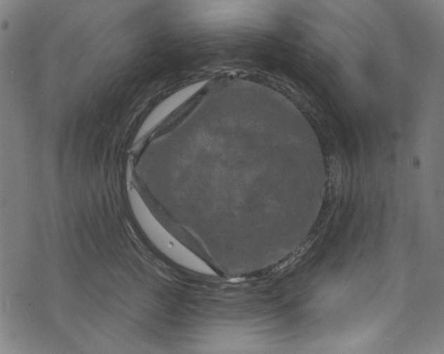 X0000073730761200608171228