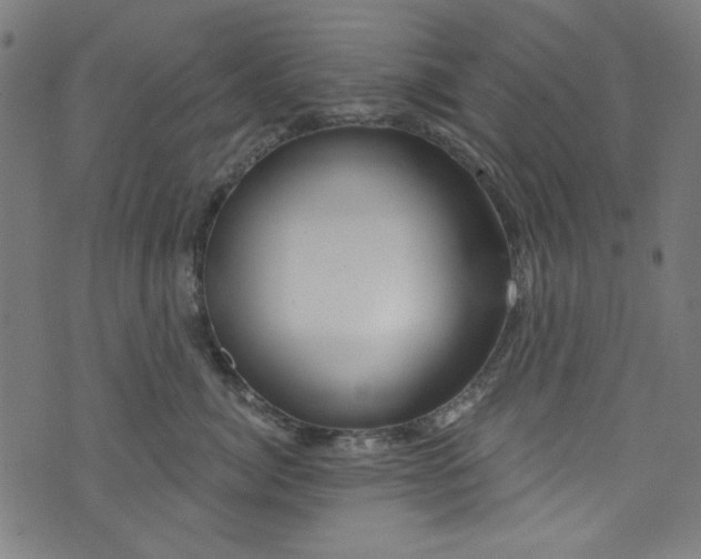 X0000073730764200608171228