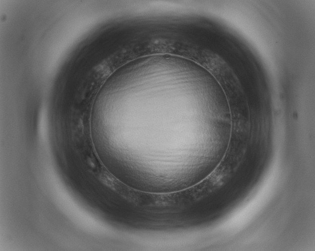 X0000073730765200608171228