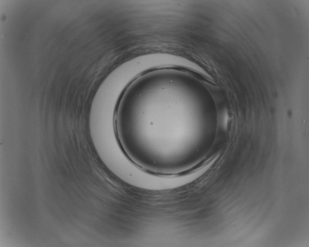 X0000073730766200608171228