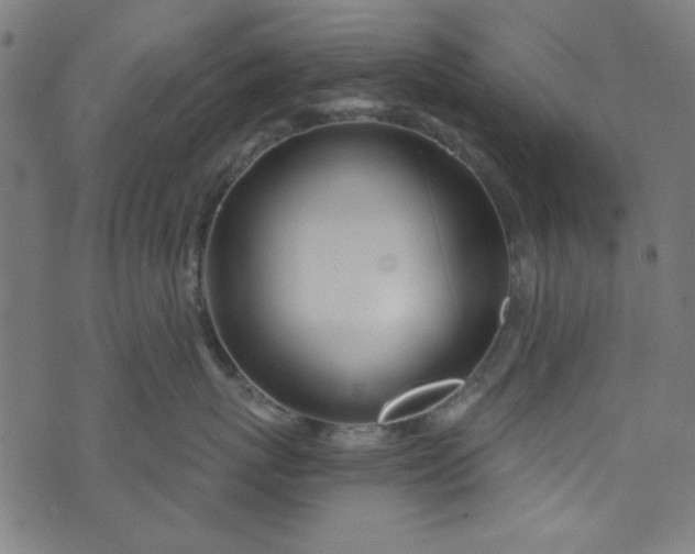 X0000073730767200608171229