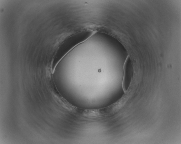 X0000073730768200608171229