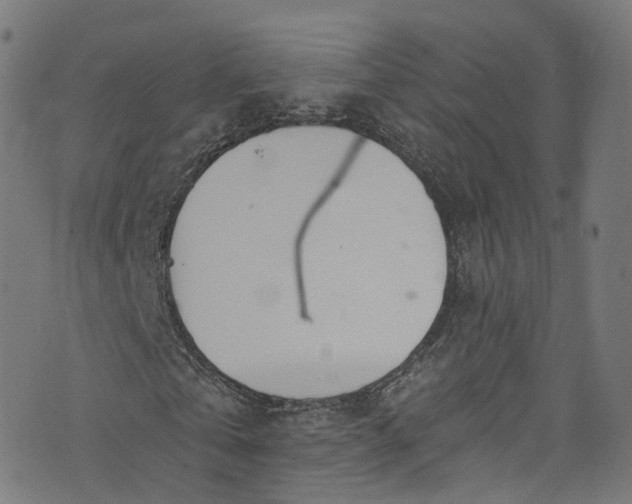 X0000073730769200608171228