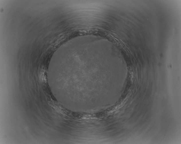 X0000073730770200608171228