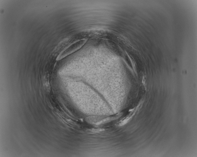 X0000073730771200608171228