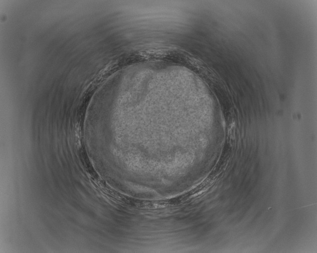 X0000073730772200608171228