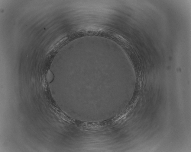 X0000073730774200608171228