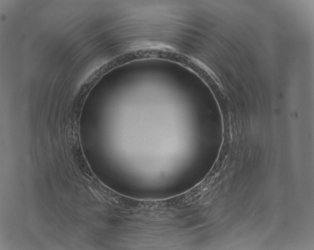 X0000073730775200608171228