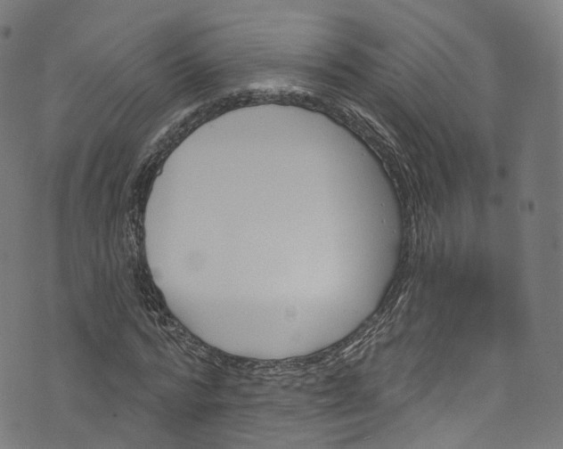 X0000073730776200608171228