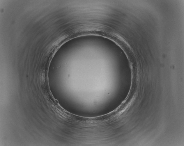 X0000073730777200608171228