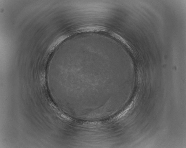 X0000073730778200608171228