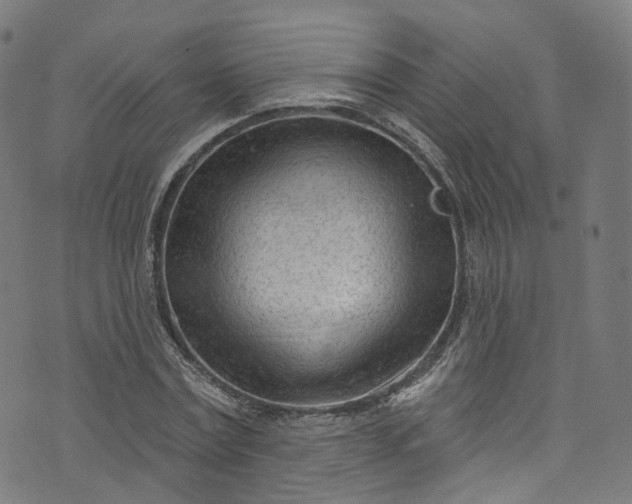 X0000073730779200608171228