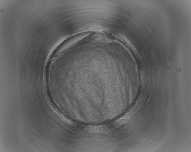 X0000073730780200608171228