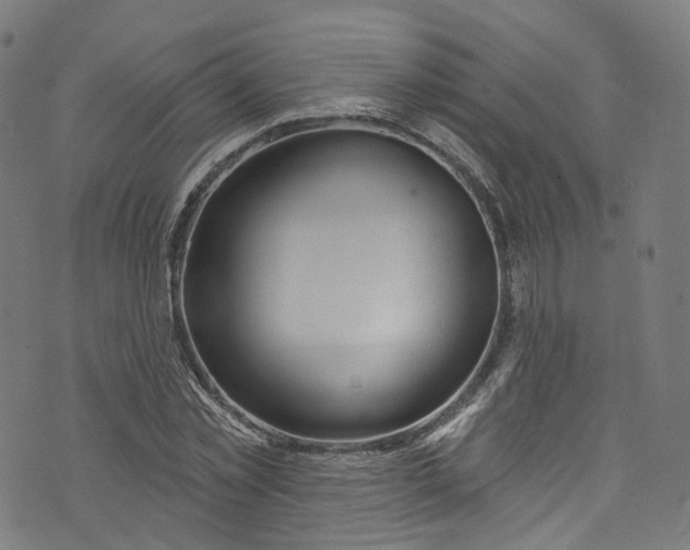 X0000073730781200608171228