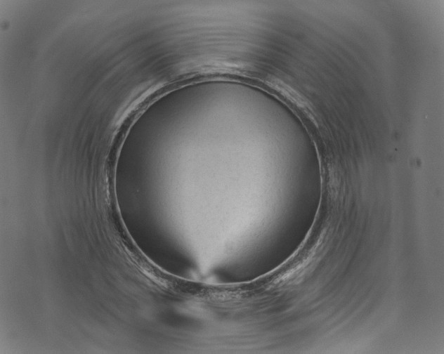 X0000073730782200608171228