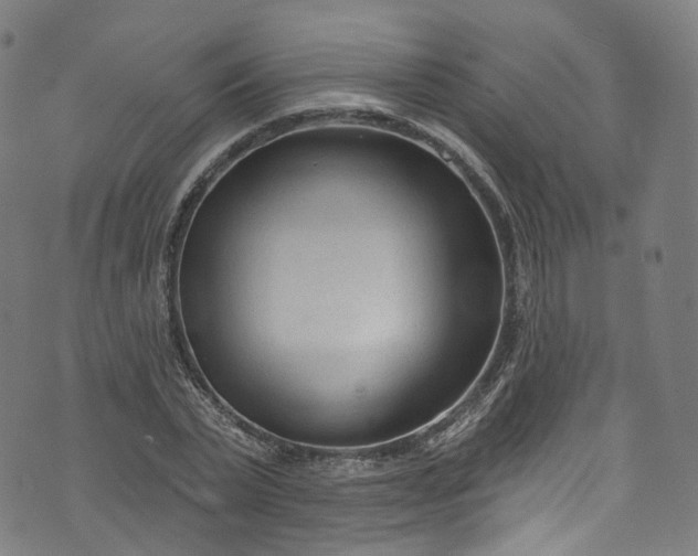 X0000073730783200608171228