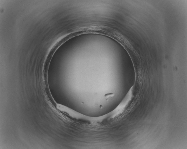 X0000073730784200608171228