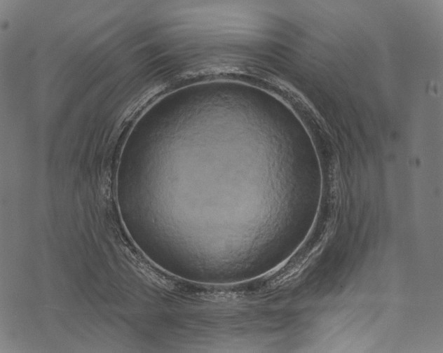 X0000073730785200608171227