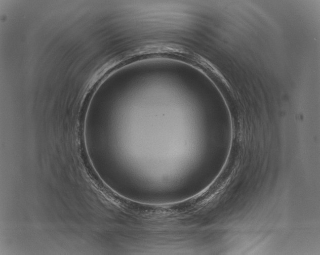 X0000073730786200608171227