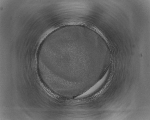 X0000073730787200608171227