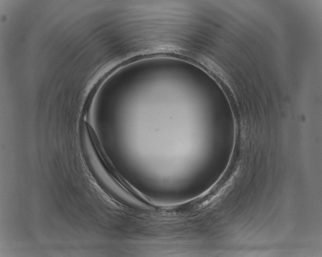 X0000073730789200608171227