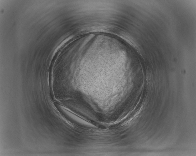 X0000073730790200608171227