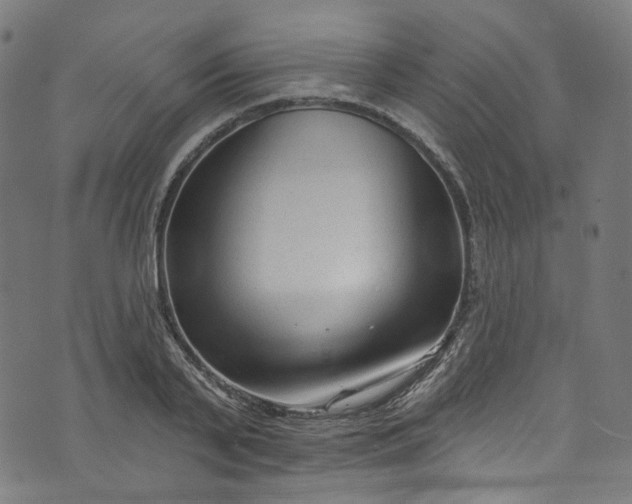 X0000073730791200608171227