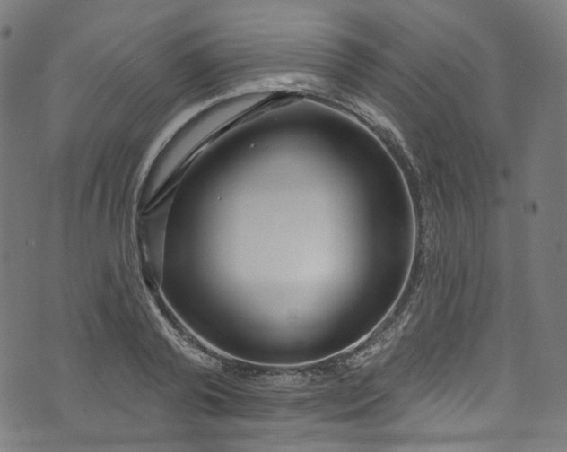 X0000073730792200608171227