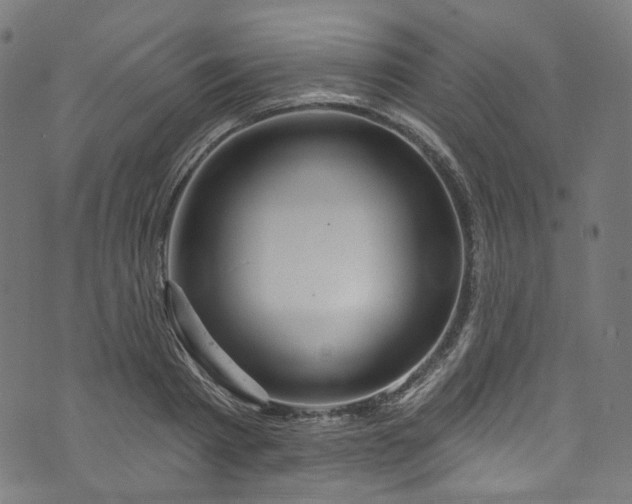 X0000073730793200608171227