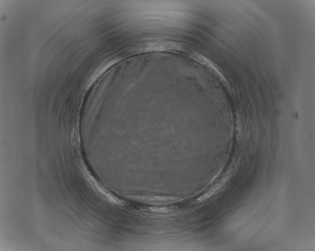 X0000073730794200608171227