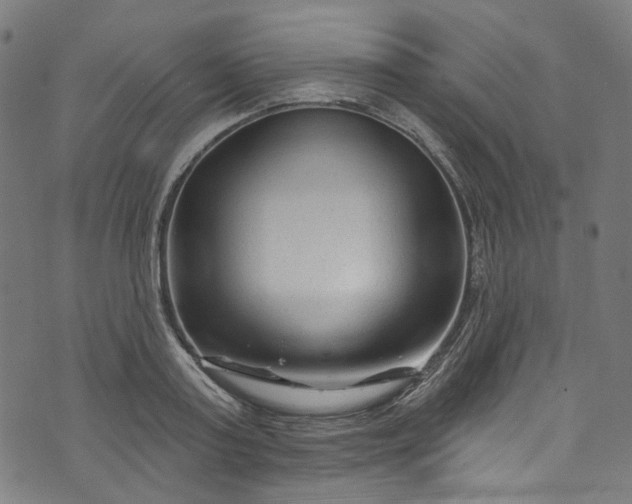 X0000073730795200608171227